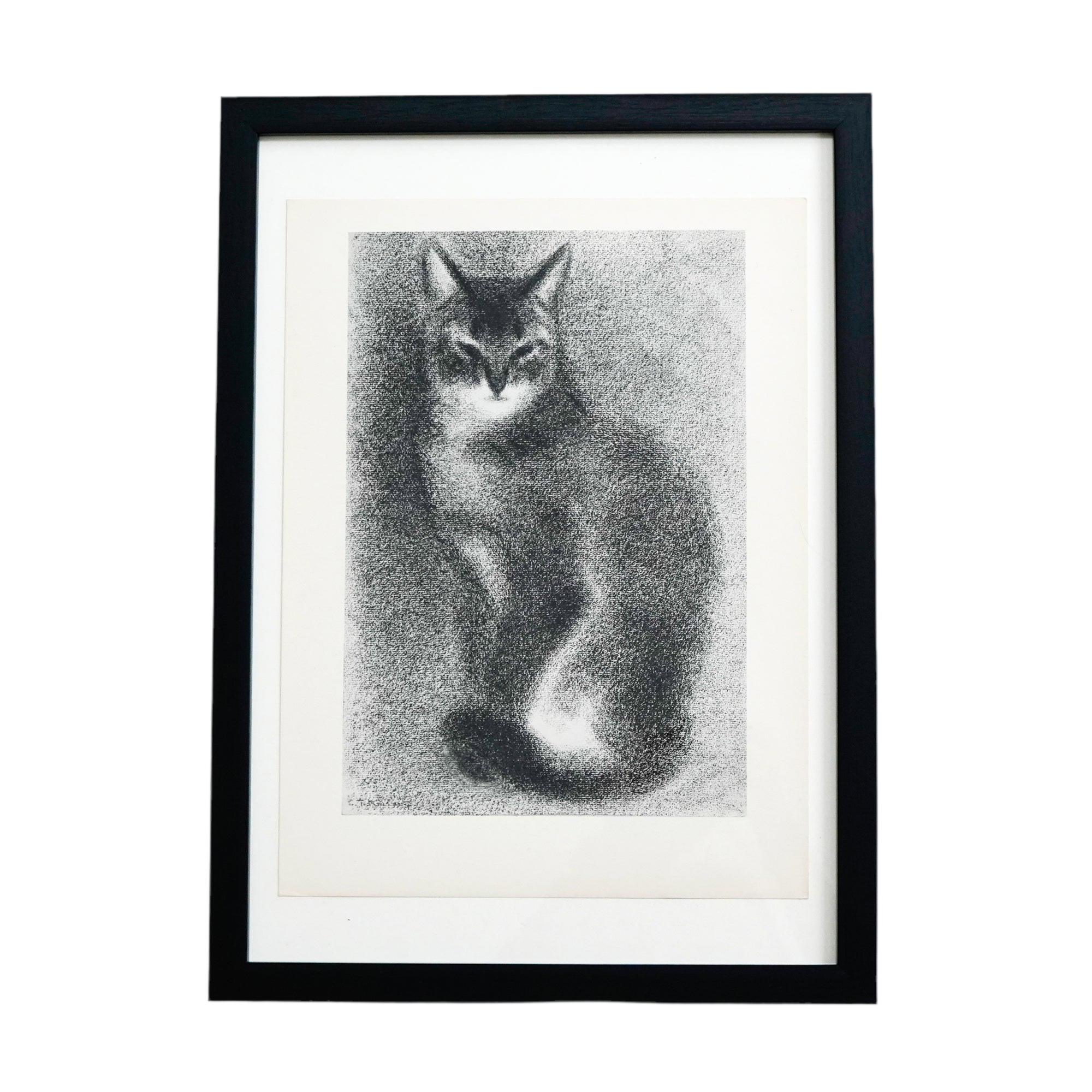 C0D9539A-5190-47CF-A41E-