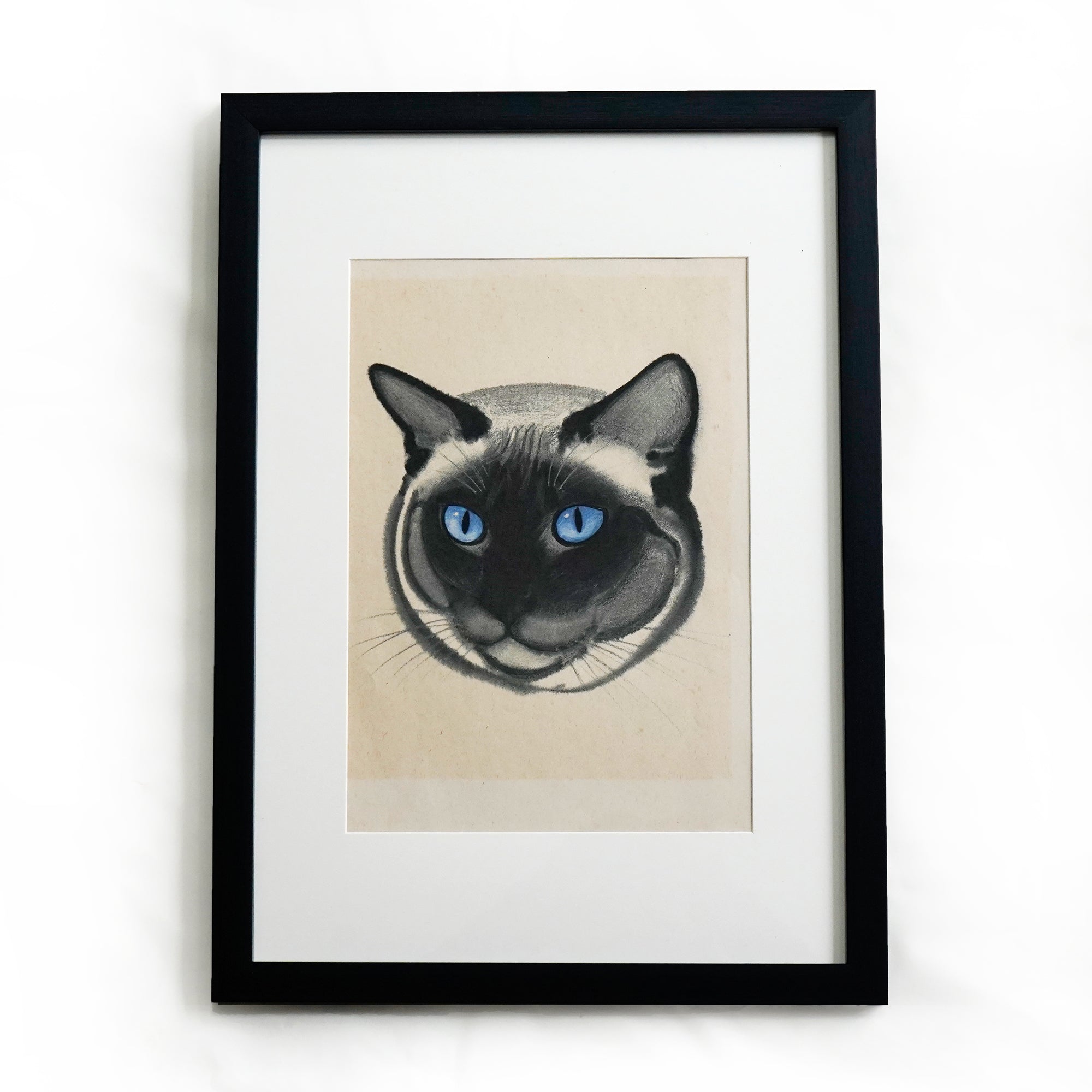 clareF2a_2000x.jpg?v=1676516704